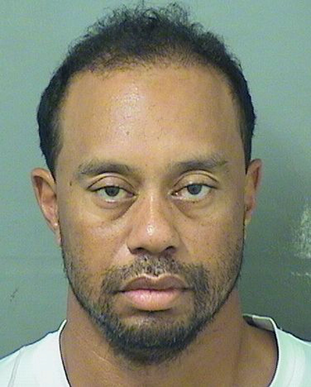 Tiger Woods arrested by Palm Beach County Sheriff.